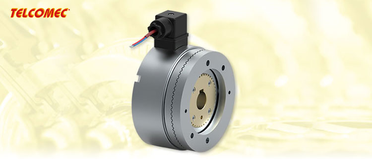 Innesti e Frizioni Elettromagnetiche Innesti e Frizioni Elettromagnetiche